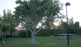 jardin1